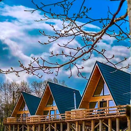 Cabana 365 Braşov Exterior foto