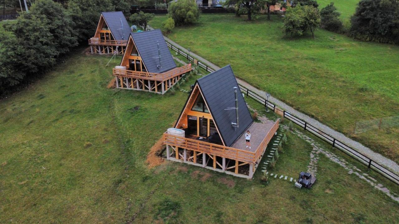 Cabana 365 Braşov Exterior foto