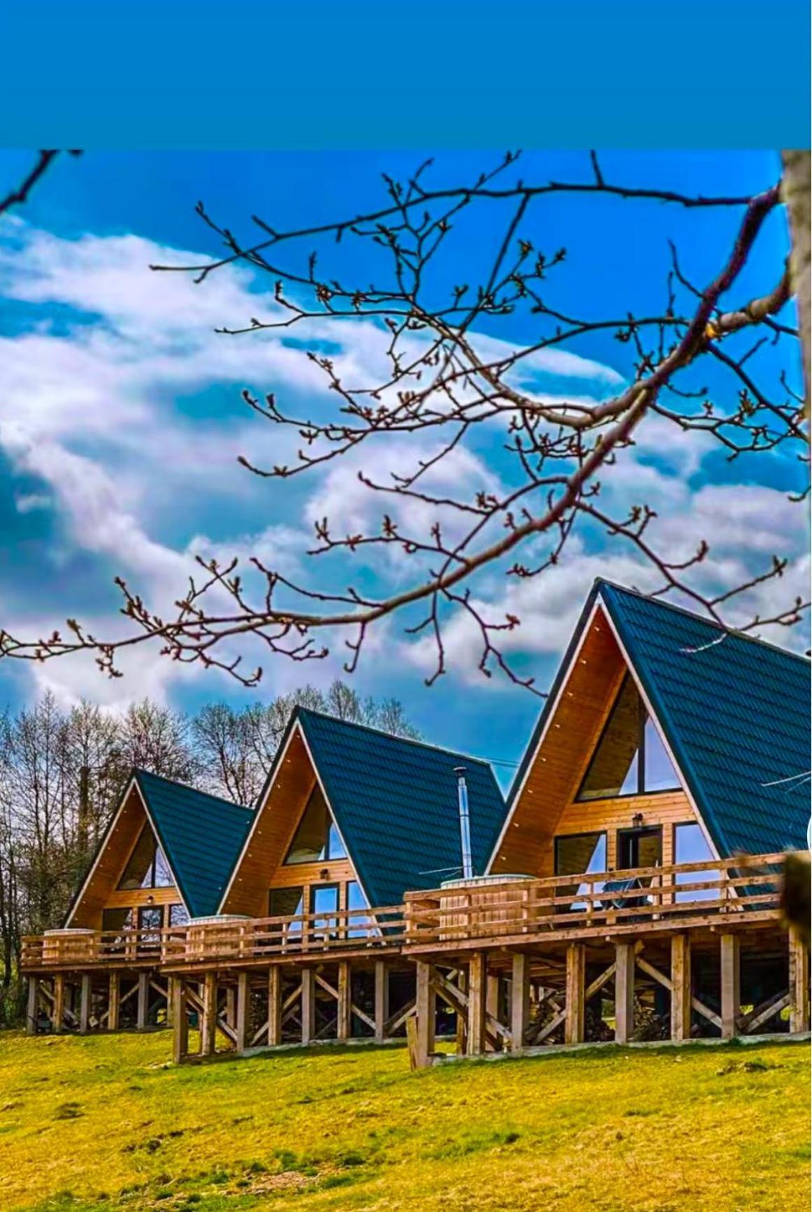 Cabana 365 Braşov Exterior foto