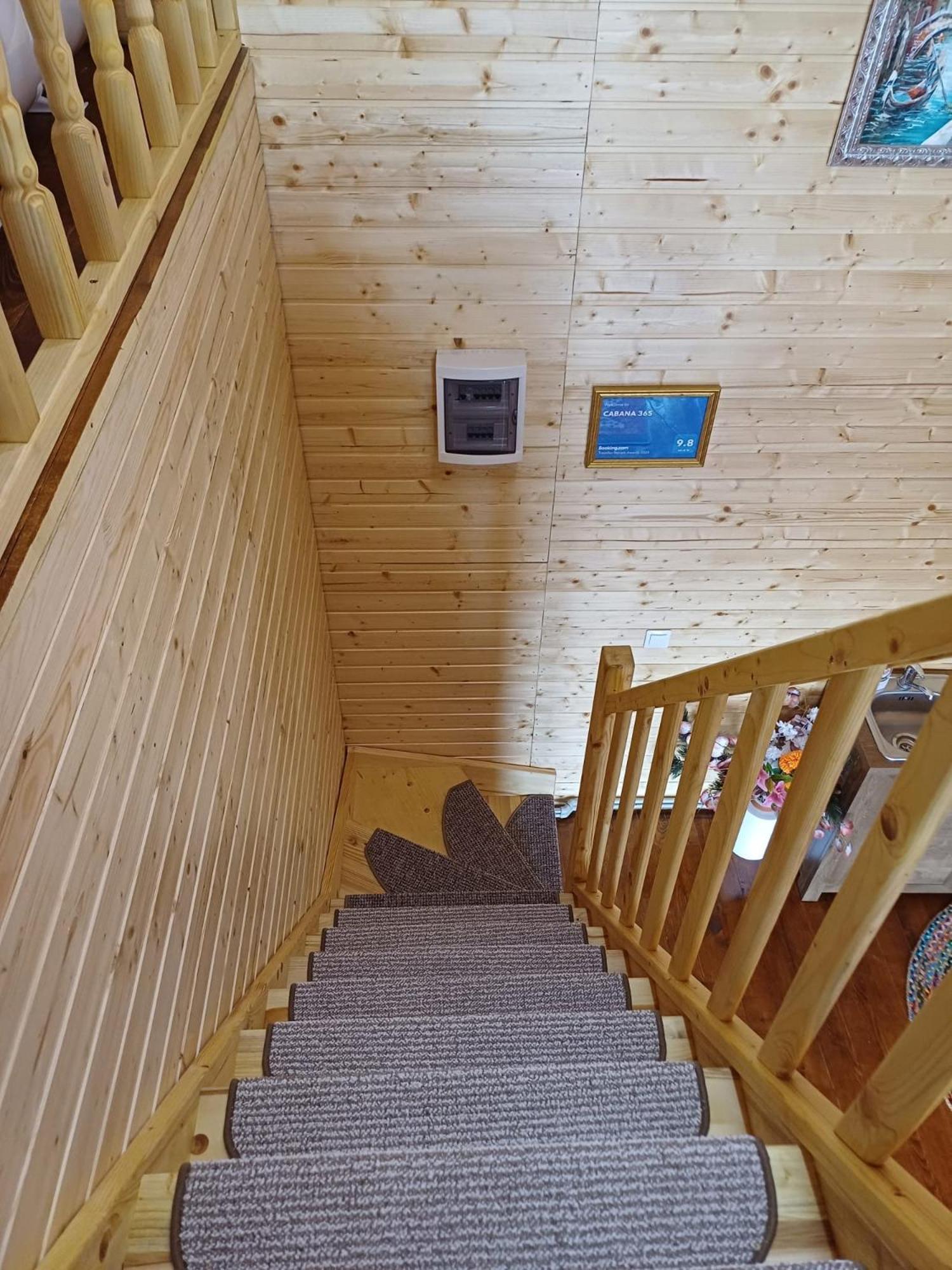 Cabana 365 Braşov Exterior foto